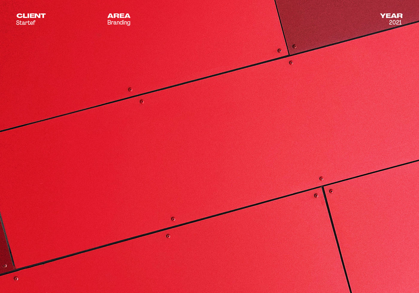 Startef project image 1