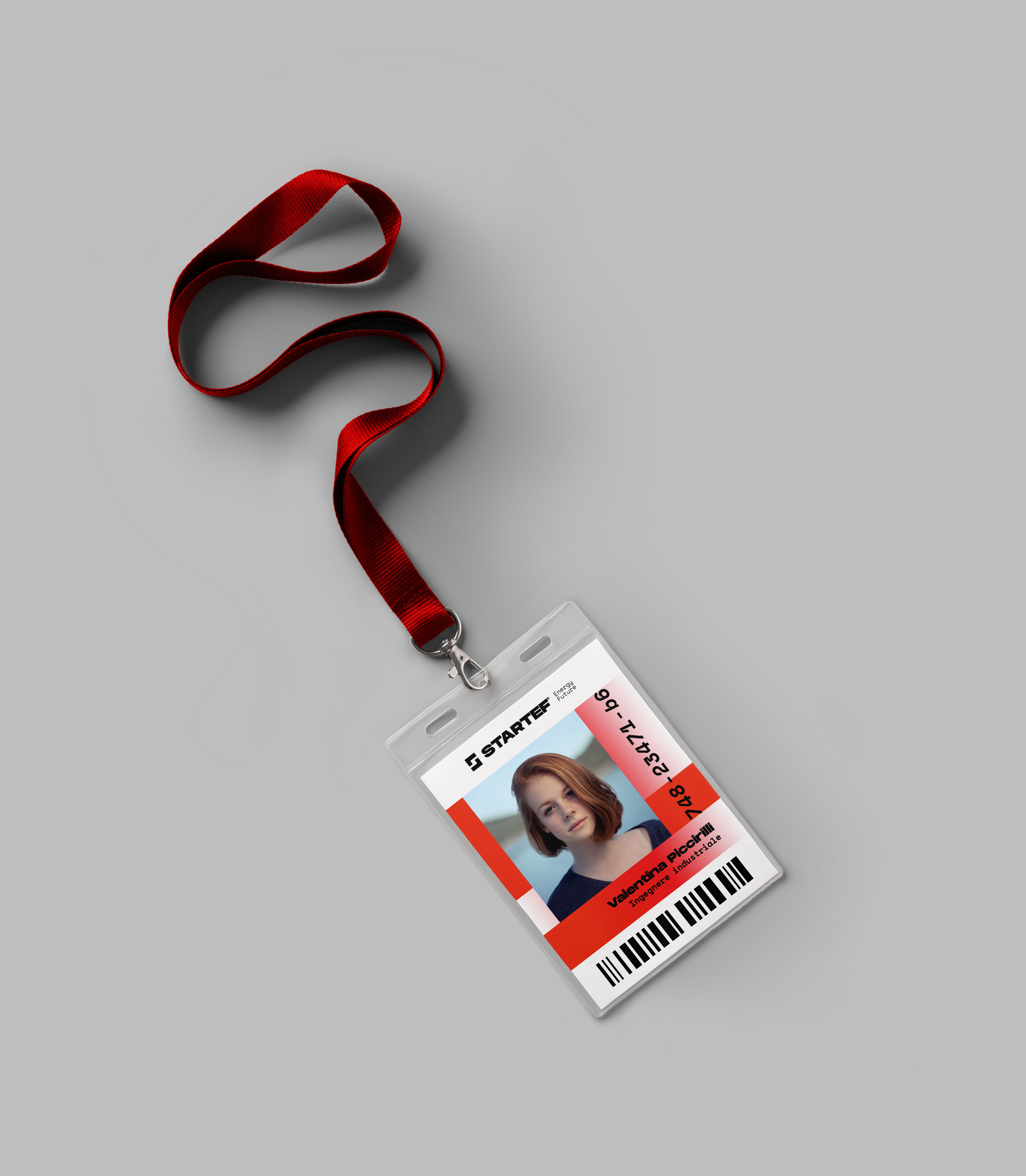 Startef project image 8